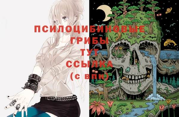 винт Алексеевка