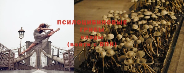 винт Алексеевка