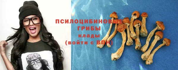 дурь Алзамай