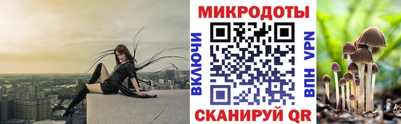Галлюциногенные грибы ЛСД Беломорск